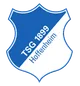 Aktuelle TSG Hoffenheim Gutscheine